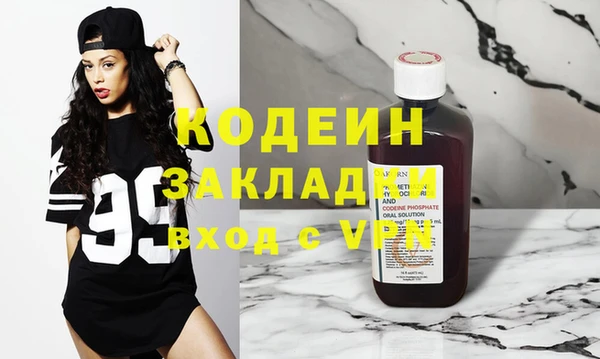 индика Каменногорск