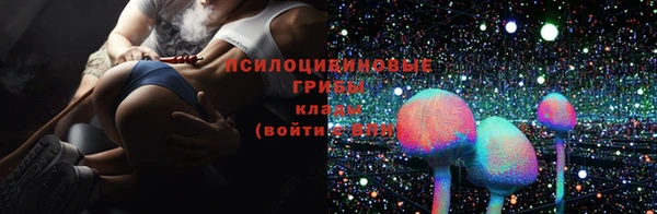 твердый Мегион