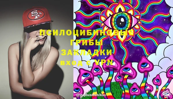 гидра Кинешма